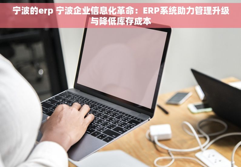 宁波的erp 宁波企业信息化革命：ERP系统助力管理升级与降低库存成本