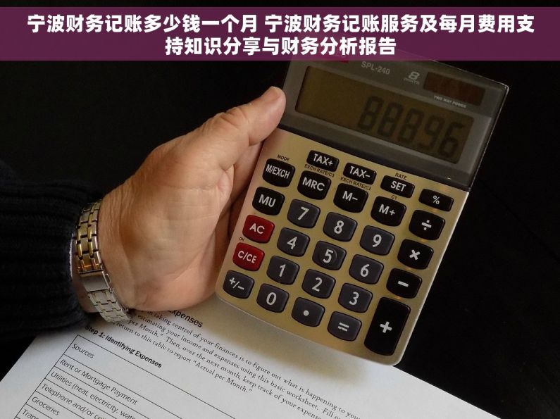 宁波财务记账多少钱一个月 宁波财务记账服务及每月费用支持知识分享与财务分析报告