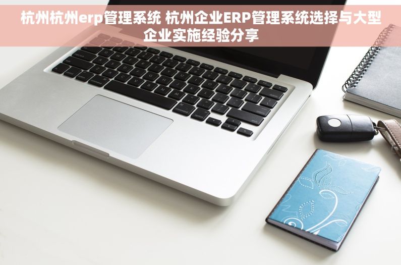 杭州杭州erp管理系统 杭州企业ERP管理系统选择与大型企业实施经验分享