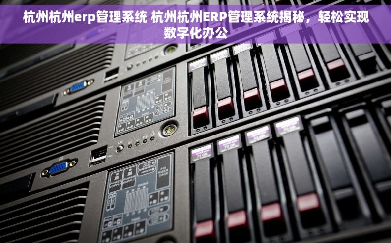 杭州杭州erp管理系统 杭州杭州ERP管理系统揭秘，轻松实现数字化办公