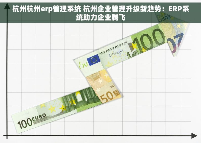 杭州杭州erp管理系统 杭州企业管理升级新趋势：ERP系统助力企业腾飞