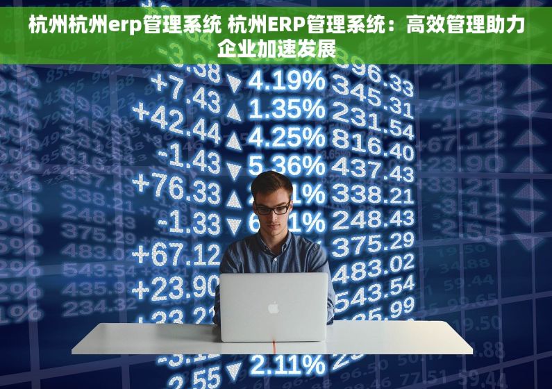 杭州杭州erp管理系统 杭州ERP管理系统：高效管理助力企业加速发展