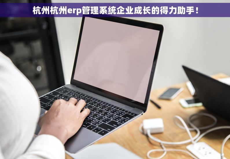 杭州杭州erp管理系统企业成长的得力助手！