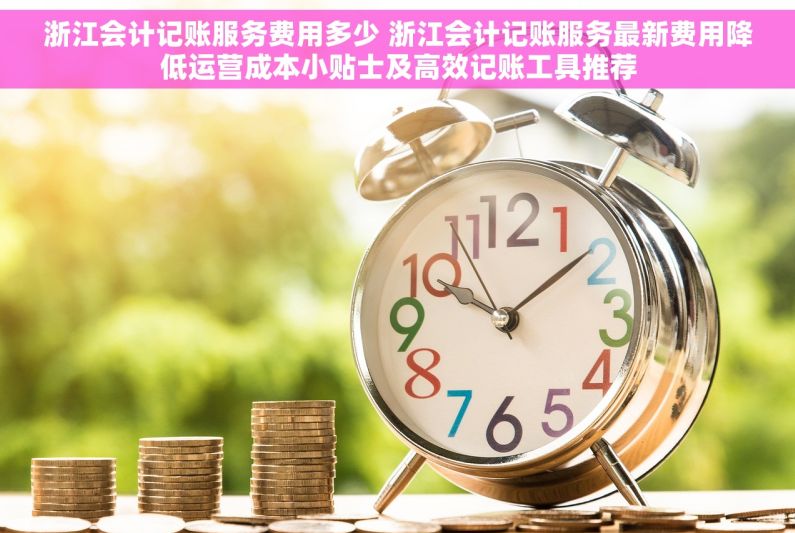 浙江会计记账服务费用多少 浙江会计记账服务最新费用降低运营成本小贴士及高效记账工具推荐
