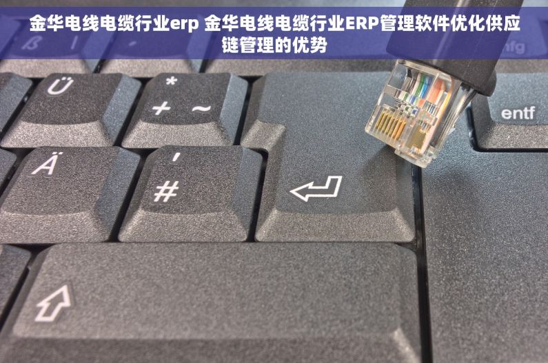 金华电线电缆行业erp 金华电线电缆行业ERP管理软件优化供应链管理的优势