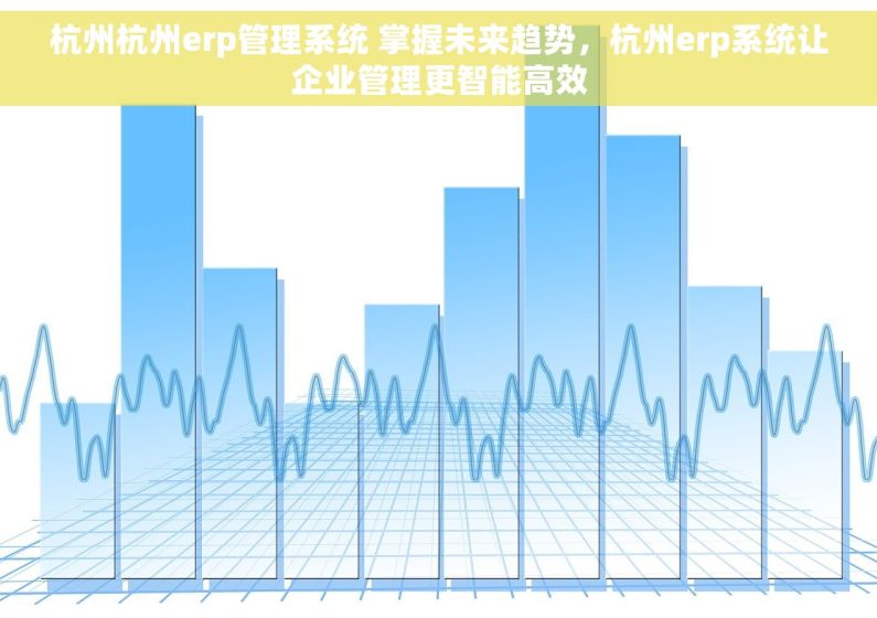 杭州杭州erp管理系统 掌握未来趋势，杭州erp系统让企业管理更智能高效