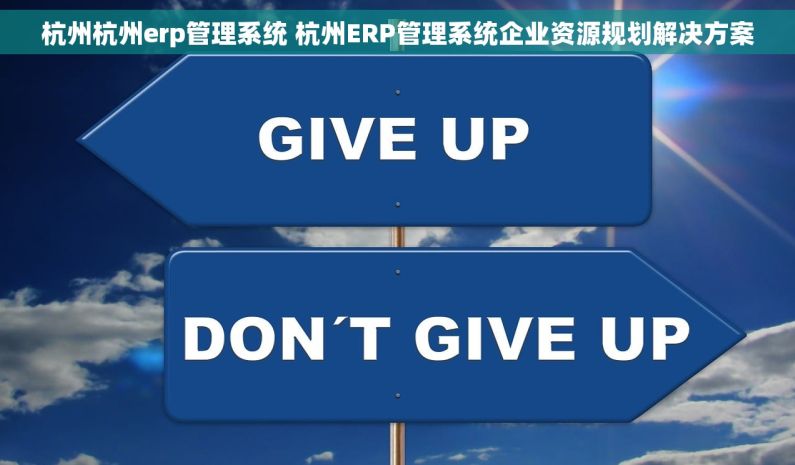 杭州杭州erp管理系统 杭州ERP管理系统企业资源规划解决方案