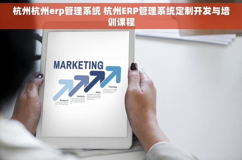 杭州杭州erp管理系统 杭州ERP管理系统定制开发与培训课程