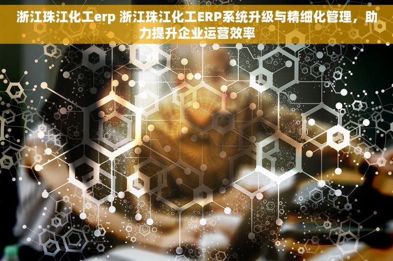 浙江珠江化工erp 浙江珠江化工ERP系统升级与精细化管理，助力提升企业运营效率
