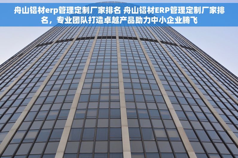 舟山铝材erp管理定制厂家排名 舟山铝材ERP管理定制厂家排名，专业团队打造卓越产品助力中小企业腾飞