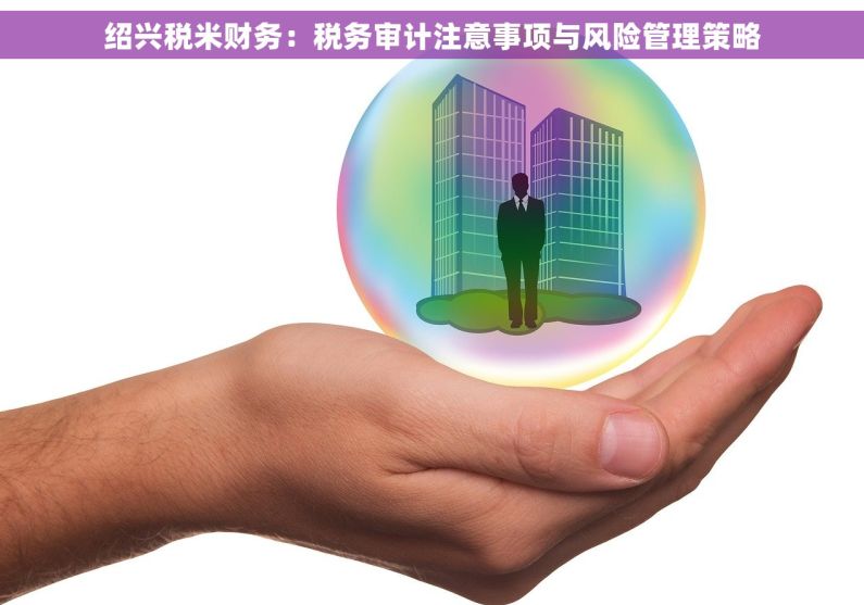 绍兴税米财务：税务审计注意事项与风险管理策略