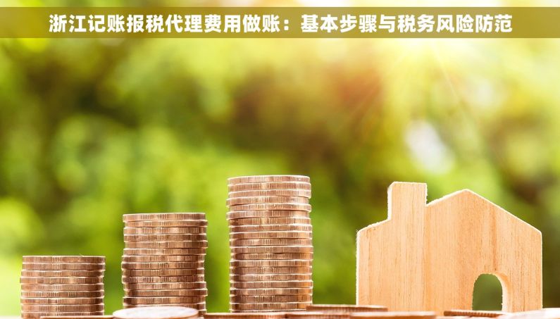 浙江记账报税代理费用做账：基本步骤与税务风险防范