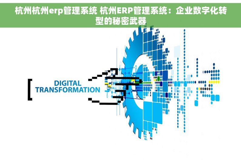 杭州杭州erp管理系统 杭州ERP管理系统：企业数字化转型的秘密武器