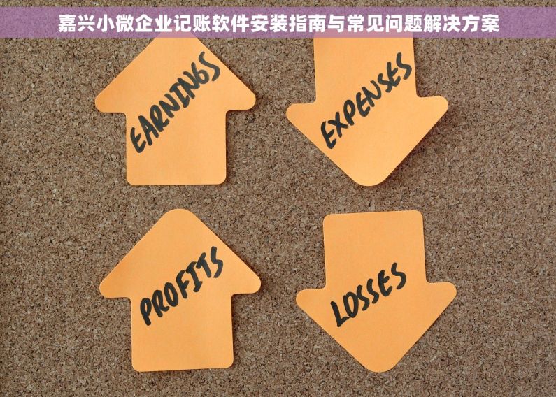嘉兴小微企业记账软件安装指南与常见问题解决方案