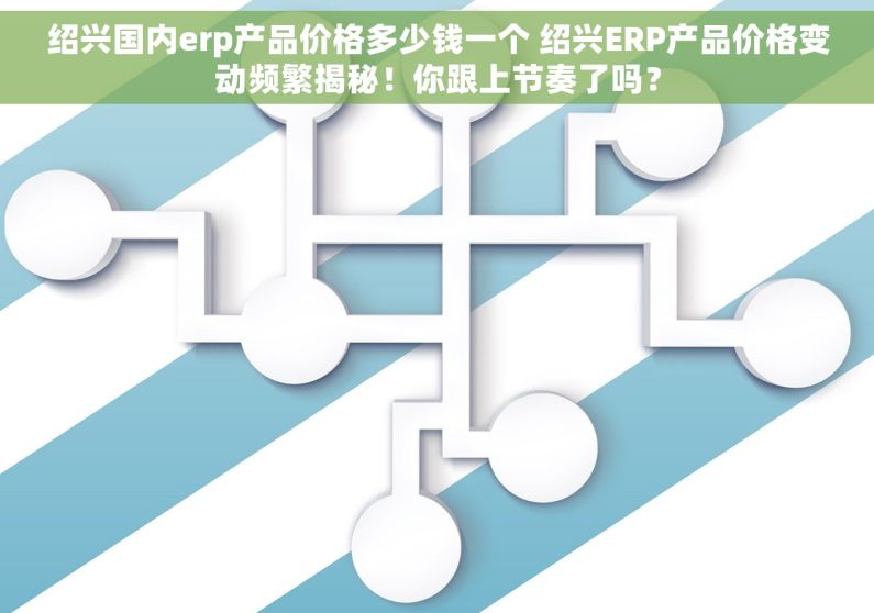 绍兴国内erp产品价格多少钱一个 绍兴ERP产品价格变动频繁揭秘！你跟上节奏了吗？