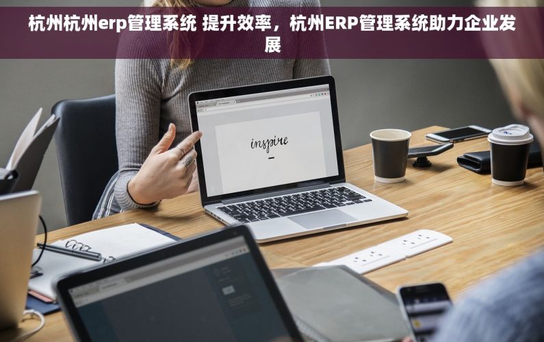 杭州杭州erp管理系统 提升效率，杭州ERP管理系统助力企业发展