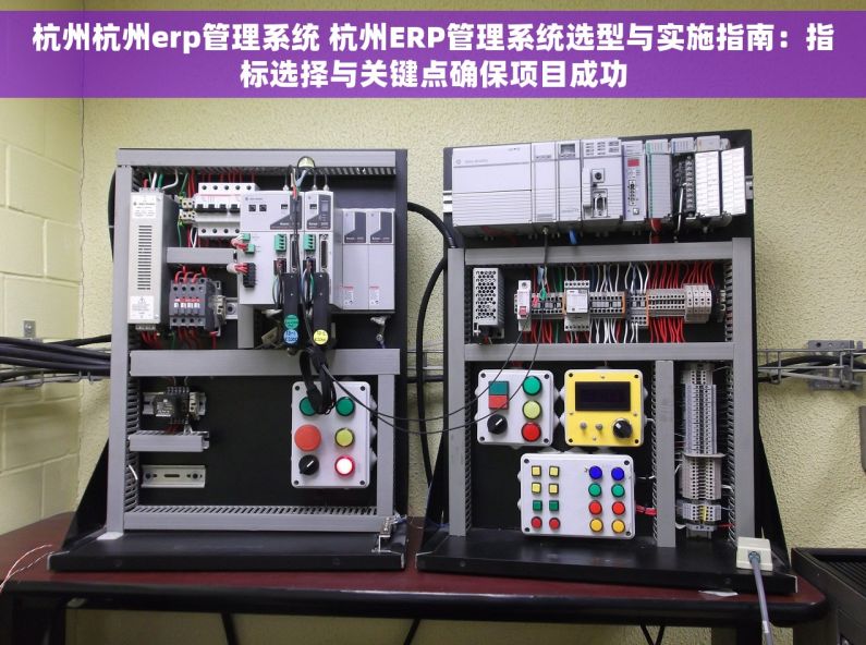 杭州杭州erp管理系统 杭州ERP管理系统选型与实施指南：指标选择与关键点确保项目成功
