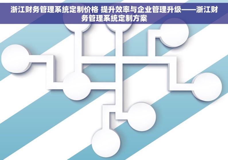浙江财务管理系统定制价格 提升效率与企业管理升级——浙江财务管理系统定制方案