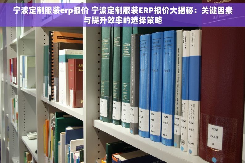 宁波定制服装erp报价 宁波定制服装ERP报价大揭秘：关键因素与提升效率的选择策略