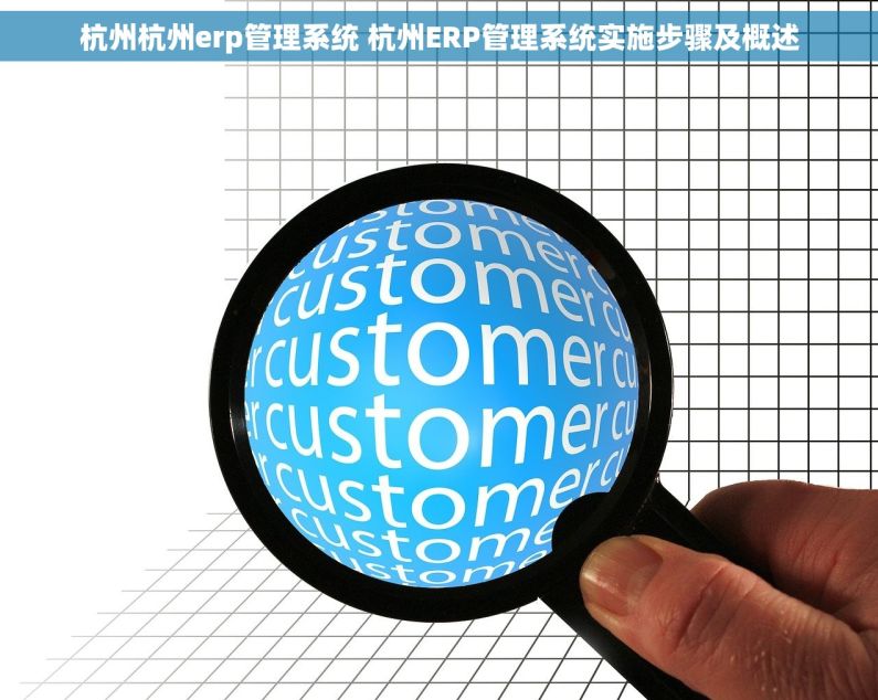 杭州杭州erp管理系统 杭州ERP管理系统实施步骤及概述