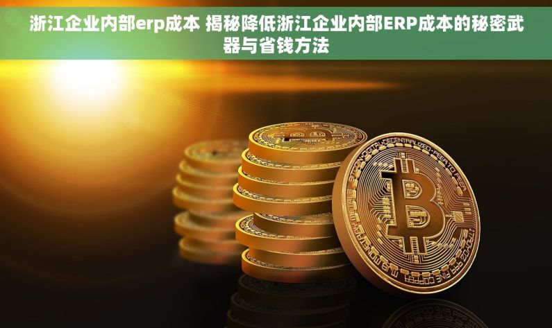 浙江企业内部erp成本 揭秘降低浙江企业内部ERP成本的秘密武器与省钱方法