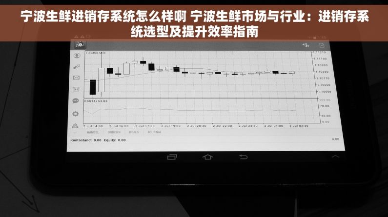 宁波生鲜进销存系统怎么样啊 宁波生鲜市场与行业：进销存系统选型及提升效率指南