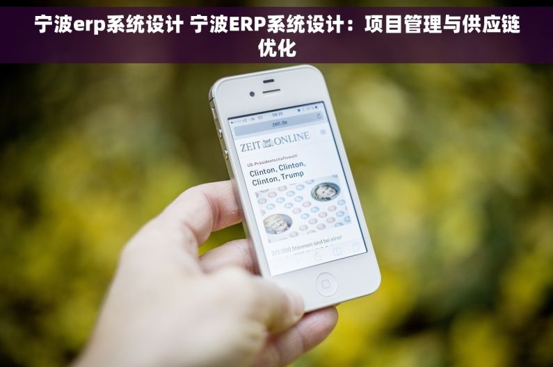 宁波erp系统设计 宁波ERP系统设计：项目管理与供应链优化