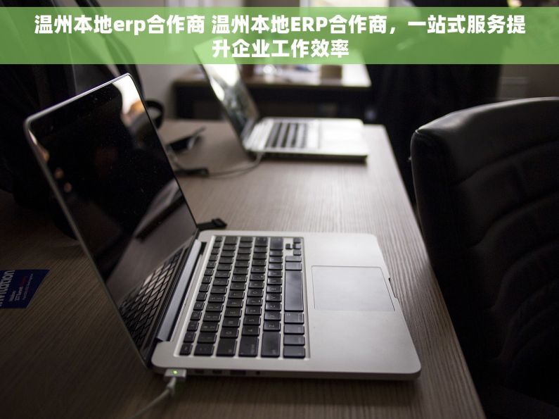 温州本地erp合作商 温州本地ERP合作商，一站式服务提升企业工作效率