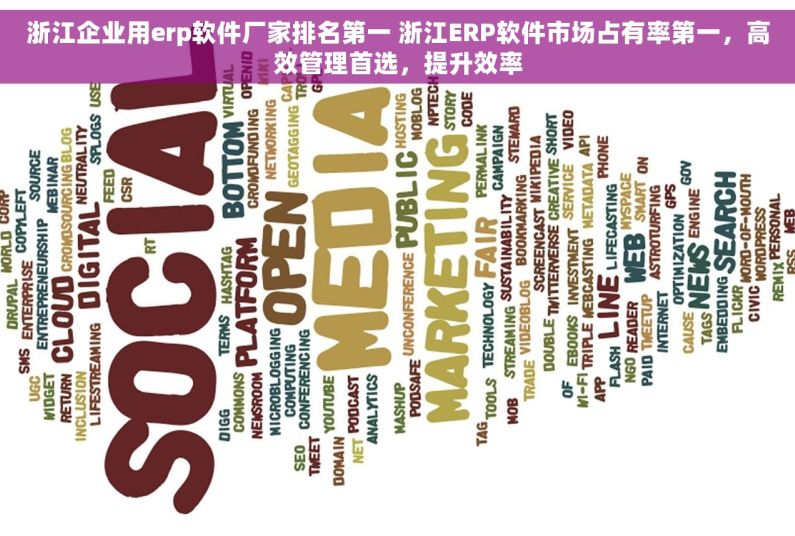 浙江企业用erp软件厂家排名第一 浙江ERP软件市场占有率第一，高效管理首选，提升效率