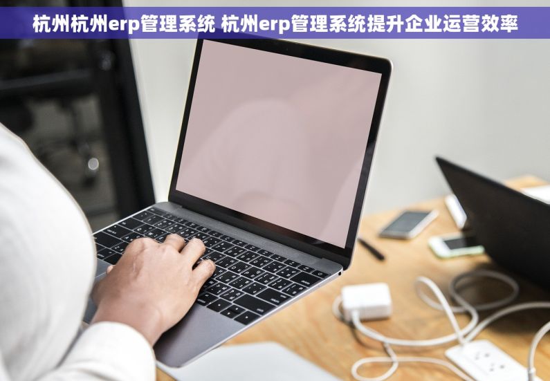 杭州杭州erp管理系统 杭州erp管理系统提升企业运营效率