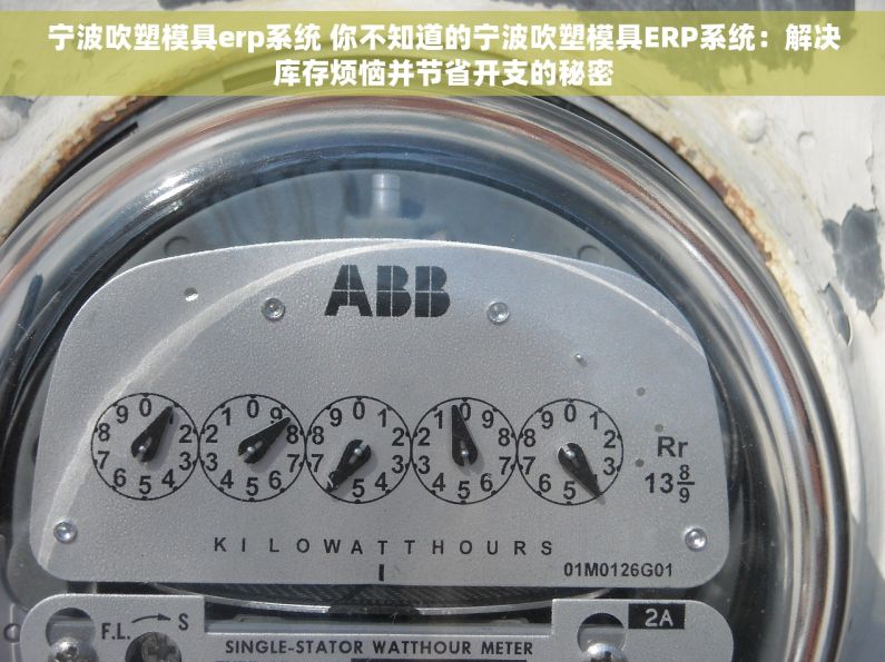 宁波吹塑模具erp系统 你不知道的宁波吹塑模具ERP系统：解决库存烦恼并节省开支的秘密