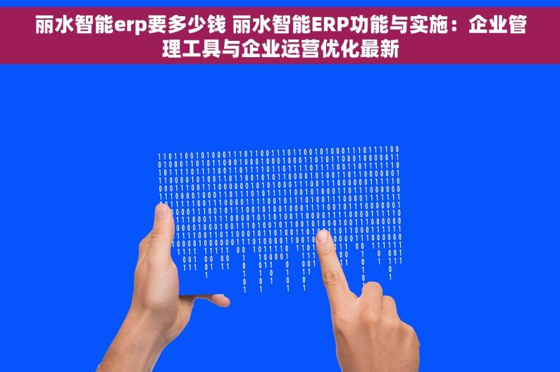 丽水智能erp要多少钱 丽水智能ERP功能与实施：企业管理工具与企业运营优化最新