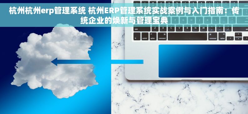 杭州杭州erp管理系统 杭州ERP管理系统实战案例与入门指南：传统企业的焕新与管理宝典
