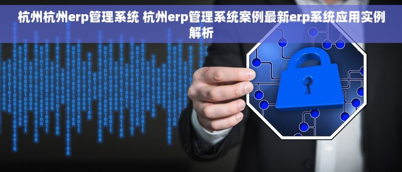杭州杭州erp管理系统 杭州erp管理系统案例最新erp系统应用实例解析