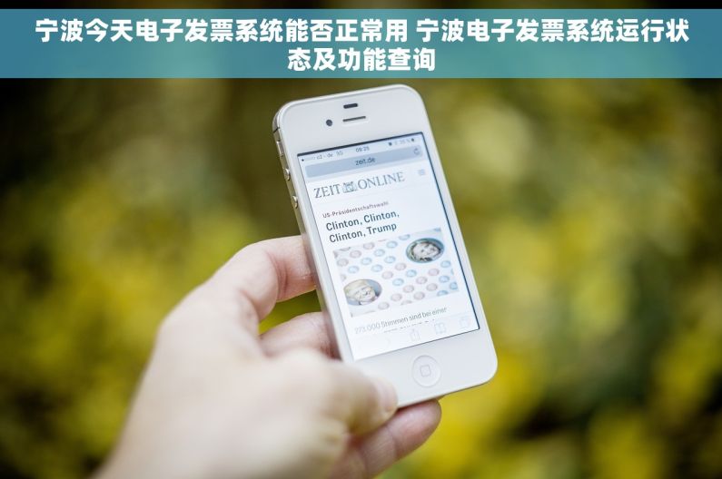 宁波今天电子发票系统能否正常用 宁波电子发票系统运行状态及功能查询