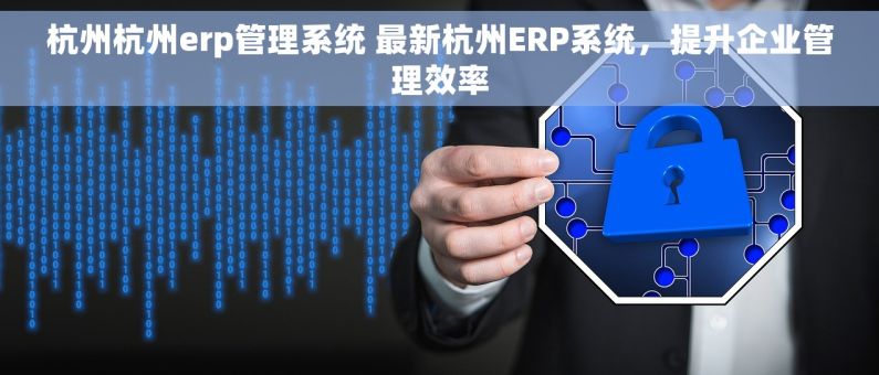 杭州杭州erp管理系统 最新杭州ERP系统，提升企业管理效率