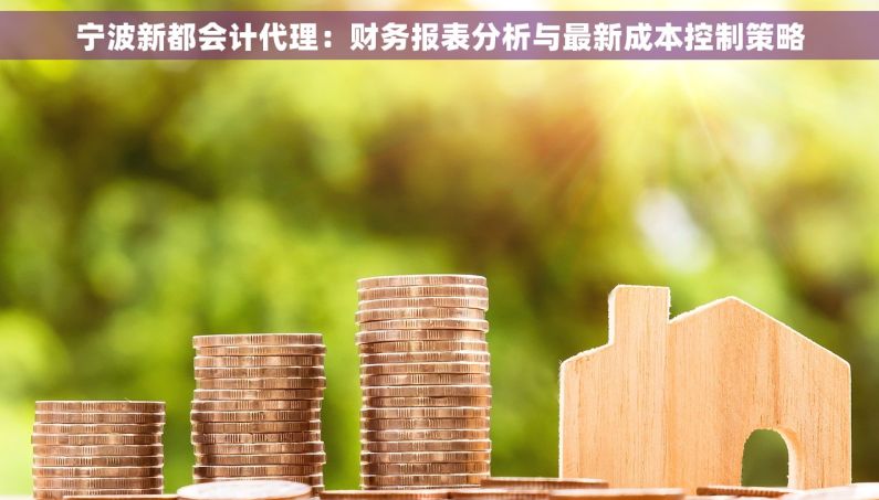 宁波新都会计代理：财务报表分析与最新成本控制策略