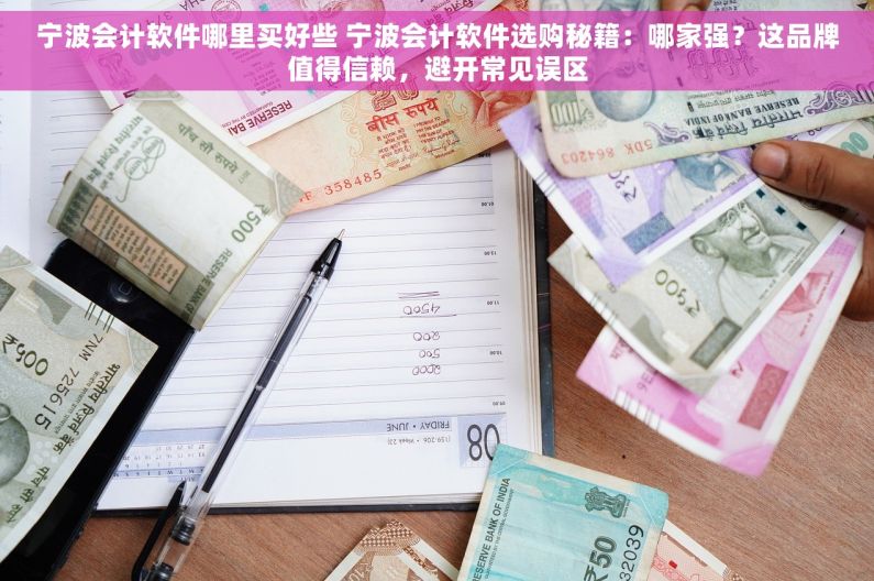 宁波会计软件哪里买好些 宁波会计软件选购秘籍：哪家强？这品牌值得信赖，避开常见误区