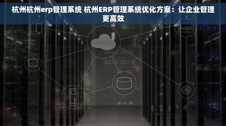 杭州杭州erp管理系统 杭州ERP管理系统优化方案：让企业管理更高效