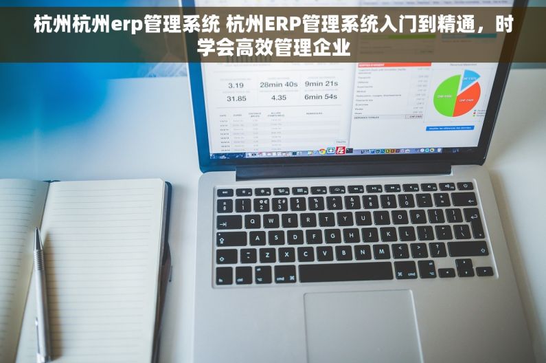 杭州杭州erp管理系统 杭州ERP管理系统入门到精通，时学会高效管理企业