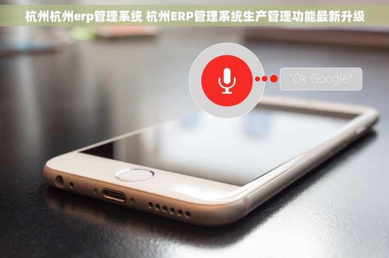 杭州杭州erp管理系统 杭州ERP管理系统生产管理功能最新升级