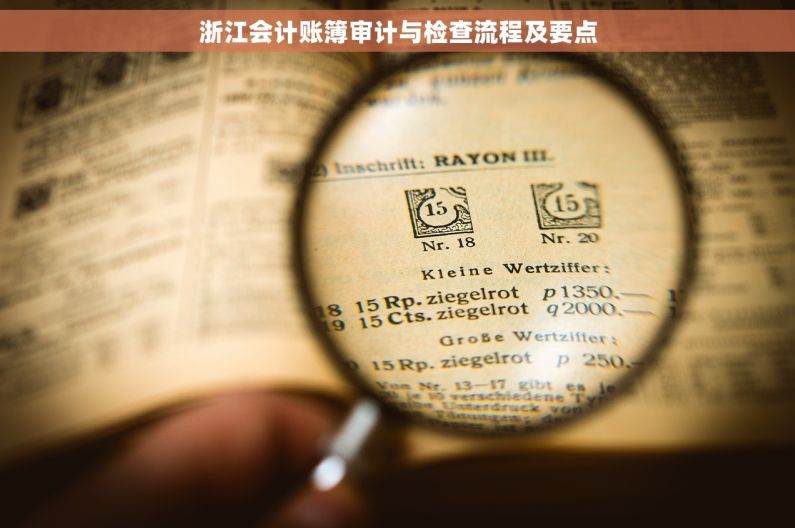 浙江会计账簿审计与检查流程及要点