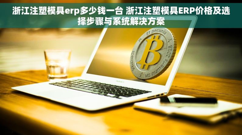浙江注塑模具erp多少钱一台 浙江注塑模具ERP价格及选择步骤与系统解决方案