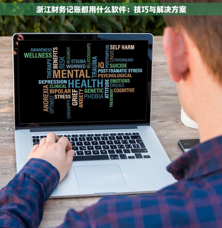 浙江财务记账都用什么软件：技巧与解决方案