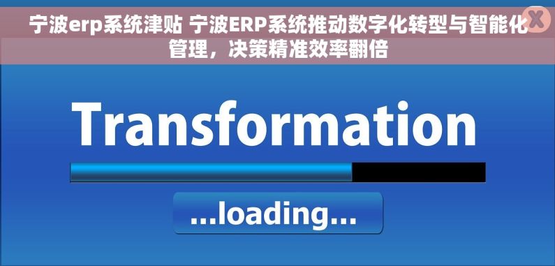 宁波erp系统津贴 宁波ERP系统推动数字化转型与智能化管理，决策精准效率翻倍