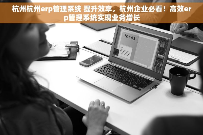 杭州杭州erp管理系统 提升效率，杭州企业必看！高效erp管理系统实现业务增长