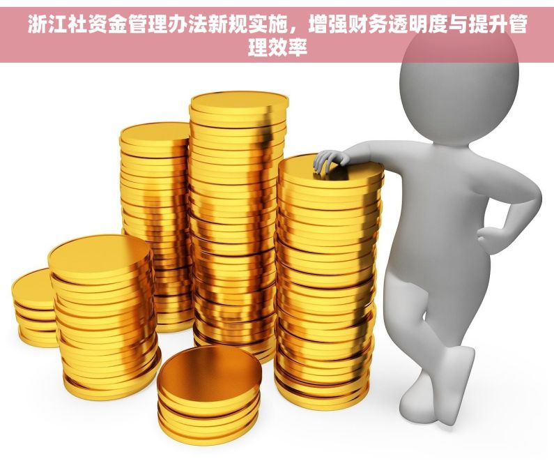 浙江社资金管理办法新规实施，增强财务透明度与提升管理效率