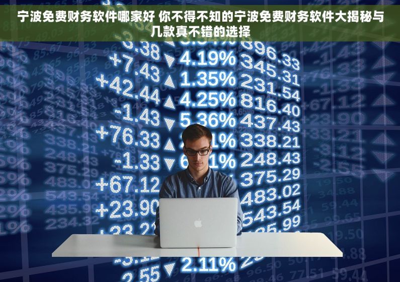 宁波免费财务软件哪家好 你不得不知的宁波免费财务软件大揭秘与几款真不错的选择