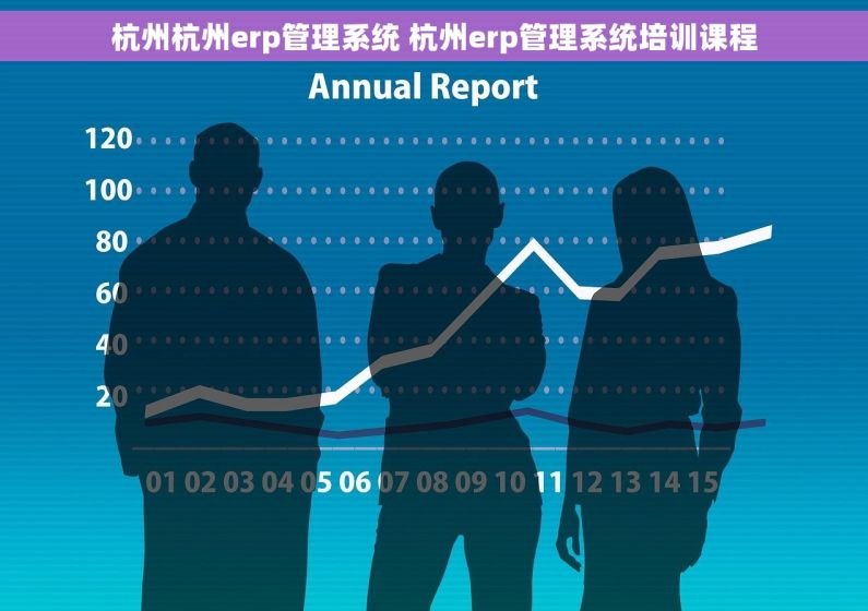杭州杭州erp管理系统 杭州erp管理系统培训课程