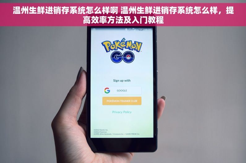 温州生鲜进销存系统怎么样啊 温州生鲜进销存系统怎么样，提高效率方法及入门教程